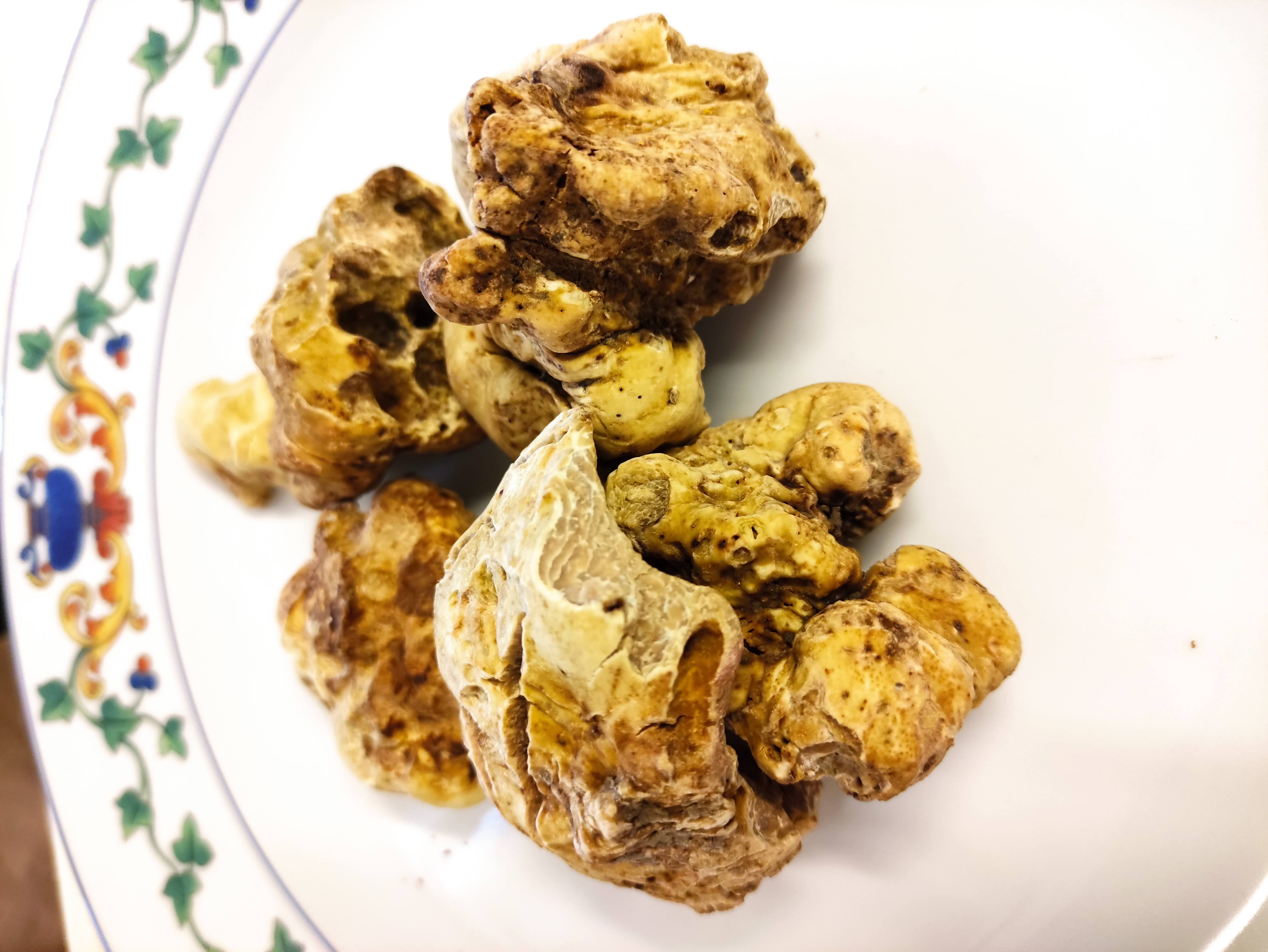 Tartufo Bianco d’Alba