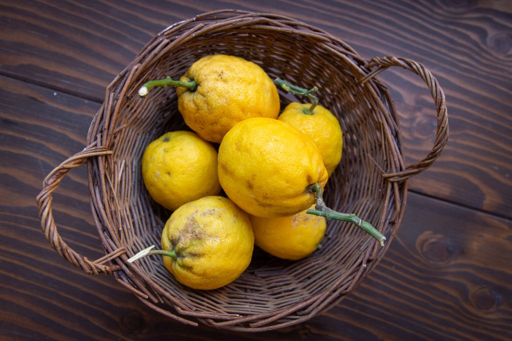 Le Magazine Fines Bouches à propos du Citron de Menton